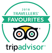 Самый популярный бренд