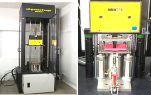 ������������ �����������